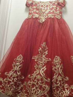 Girls Red Tulle Party Dress with Gold Embroidery